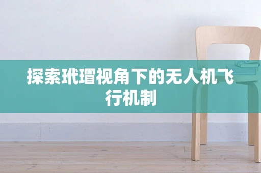 探索玳瑁视角下的无人机飞行机制