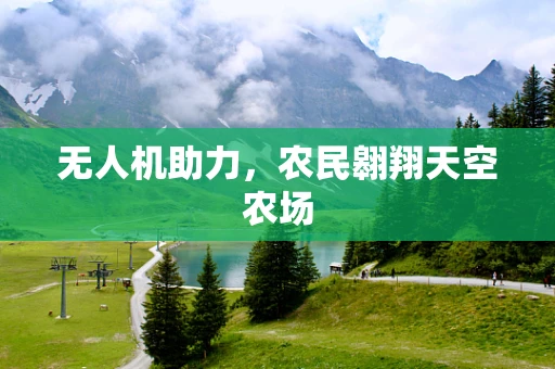 无人机助力，农民翱翔天空农场