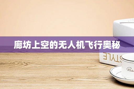 廊坊上空的无人机飞行奥秘