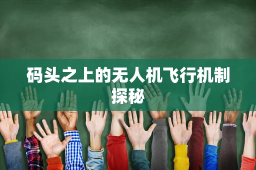 码头之上的无人机飞行机制探秘