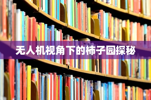 无人机视角下的柿子园探秘
