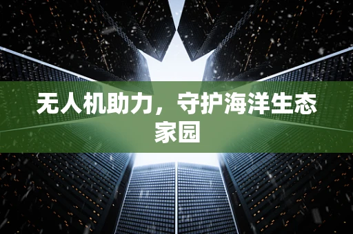 无人机助力，守护海洋生态家园