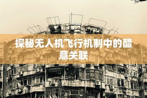 探秘无人机飞行机制中的醋意关联