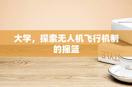 大学，探索无人机飞行机制的摇篮