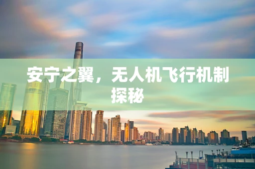 安宁之翼，无人机飞行机制探秘