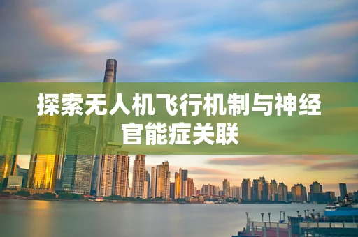 探索无人机飞行机制与神经官能症关联