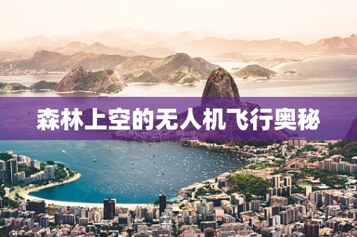 森林上空的无人机飞行奥秘