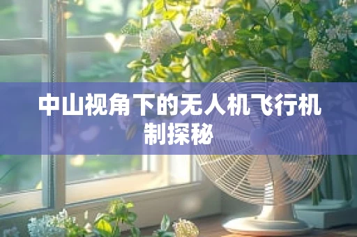 中山视角下的无人机飞行机制探秘