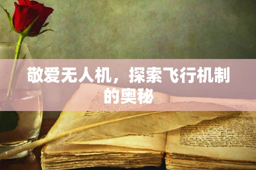 敬爱无人机，探索飞行机制的奥秘