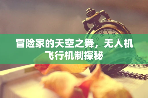 冒险家的天空之舞，无人机飞行机制探秘