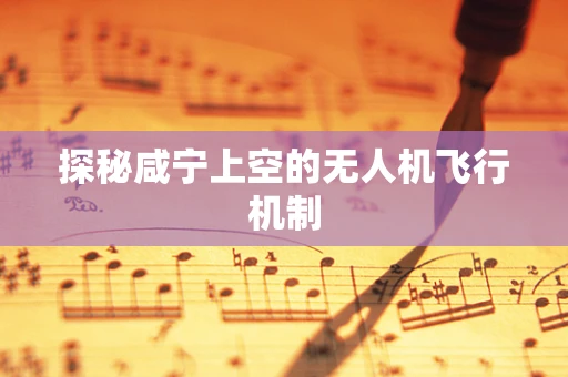 探秘咸宁上空的无人机飞行机制