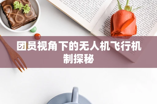 团员视角下的无人机飞行机制探秘