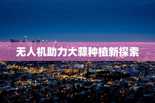 无人机助力大蒜种植新探索