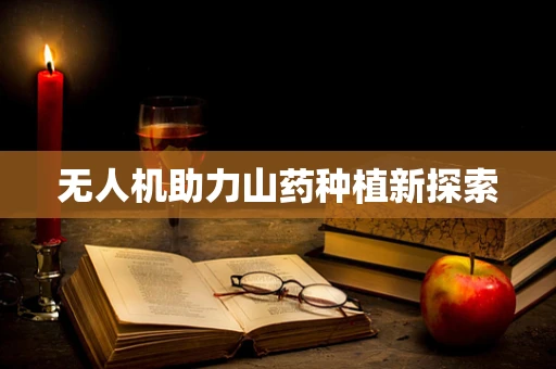 无人机助力山药种植新探索