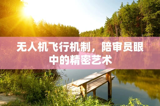 无人机飞行机制，陪审员眼中的精密艺术