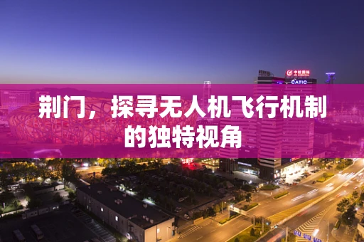 荆门，探寻无人机飞行机制的独特视角