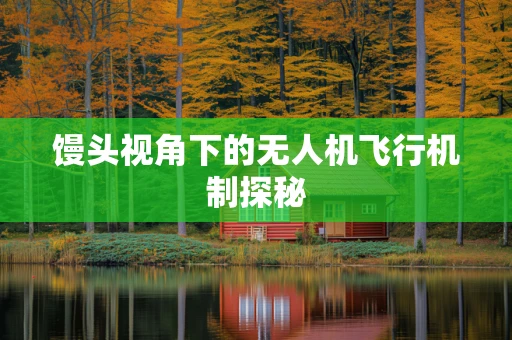 馒头视角下的无人机飞行机制探秘