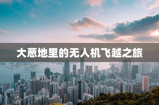 大葱地里的无人机飞越之旅