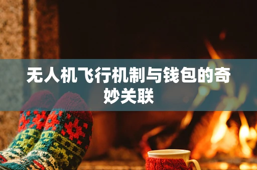 无人机飞行机制与钱包的奇妙关联