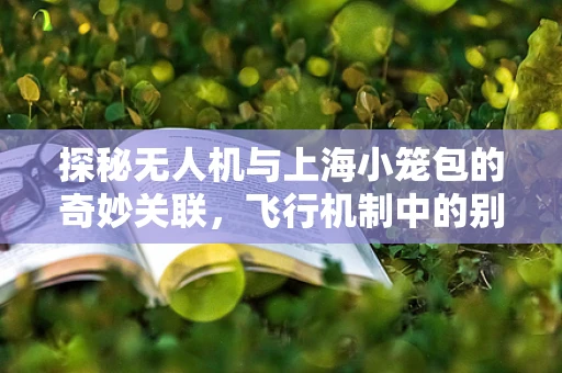 探秘无人机与上海小笼包的奇妙关联，飞行机制中的别样风味