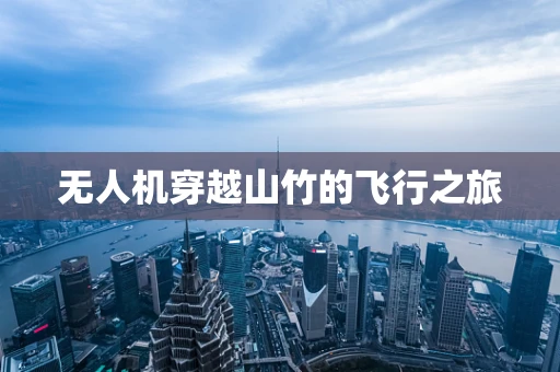无人机穿越山竹的飞行之旅
