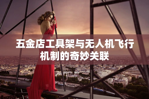 五金店工具架与无人机飞行机制的奇妙关联