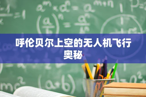 呼伦贝尔上空的无人机飞行奥秘