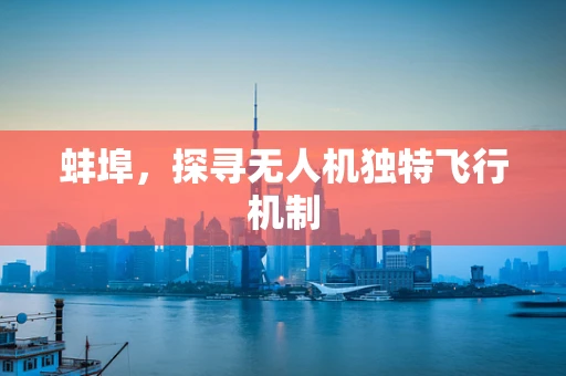 蚌埠，探寻无人机独特飞行机制