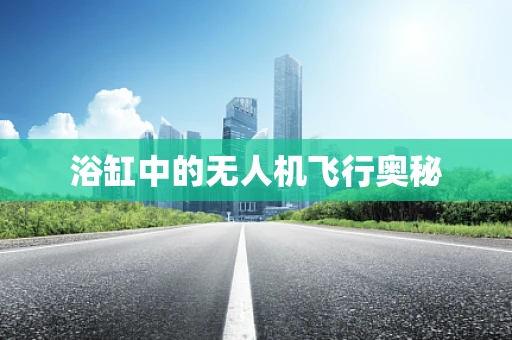 浴缸中的无人机飞行奥秘