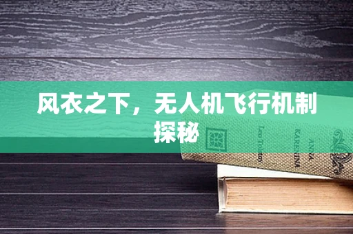 风衣之下，无人机飞行机制探秘