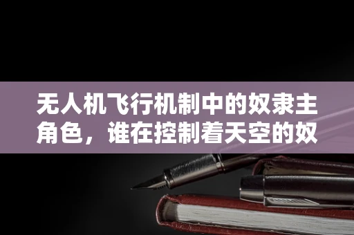 无人机飞行机制中的奴隶主角色，谁在控制着天空的奴隶？