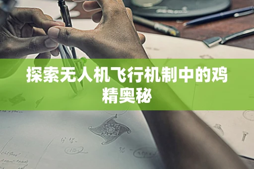 探索无人机飞行机制中的鸡精奥秘