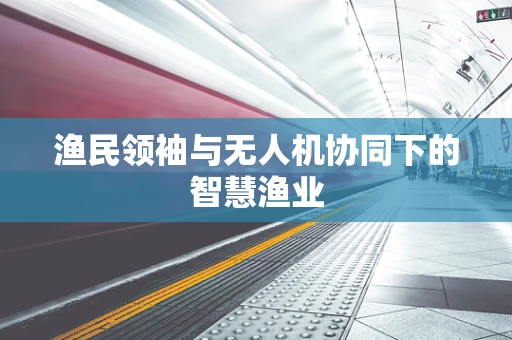 渔民领袖与无人机协同下的智慧渔业