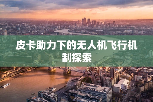 皮卡助力下的无人机飞行机制探索