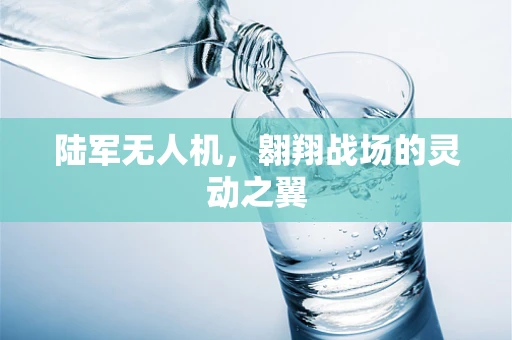 陆军无人机，翱翔战场的灵动之翼