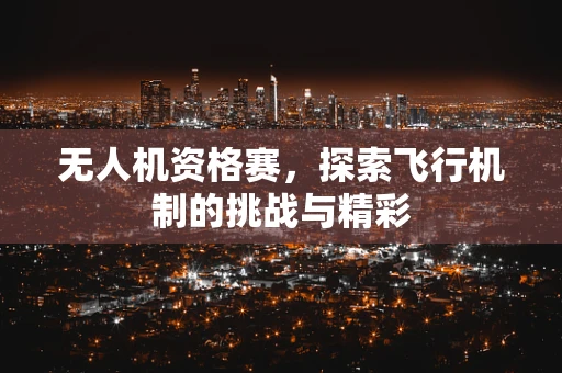 无人机资格赛，探索飞行机制的挑战与精彩