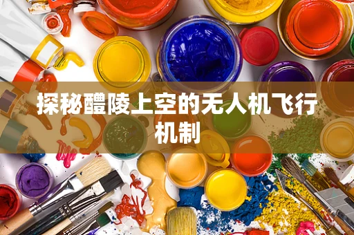 探秘醴陵上空的无人机飞行机制
