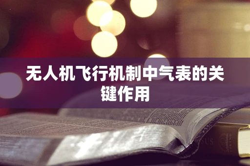 无人机飞行机制中气表的关键作用