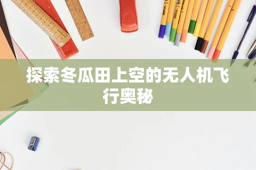 探索冬瓜田上空的无人机飞行奥秘