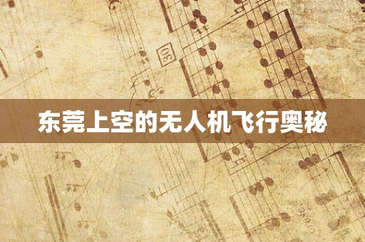东莞上空的无人机飞行奥秘