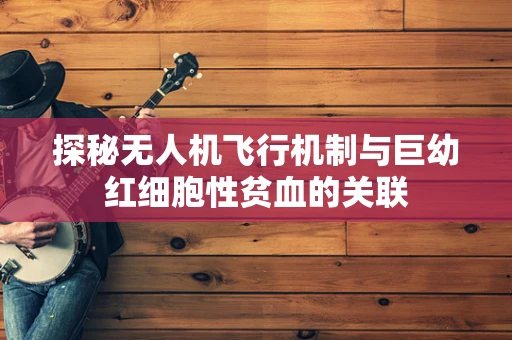 探秘无人机飞行机制与巨幼红细胞性贫血的关联