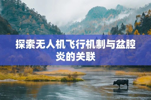 探索无人机飞行机制与盆腔炎的关联