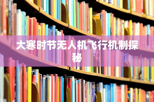 大寒时节无人机飞行机制探秘