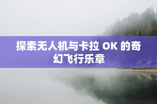 探索无人机与卡拉 OK 的奇幻飞行乐章