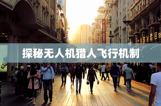探秘无人机猎人飞行机制