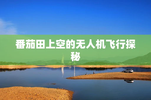 番茄田上空的无人机飞行探秘