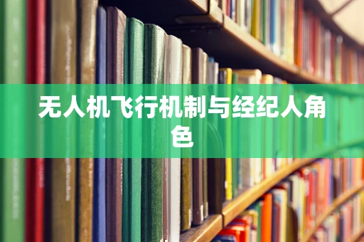 无人机飞行机制与经纪人角色