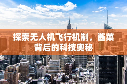 探索无人机飞行机制，酱菜背后的科技奥秘