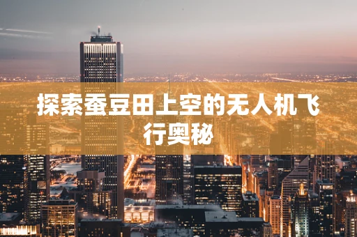 探索蚕豆田上空的无人机飞行奥秘