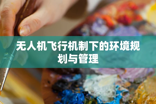无人机飞行机制下的环境规划与管理
